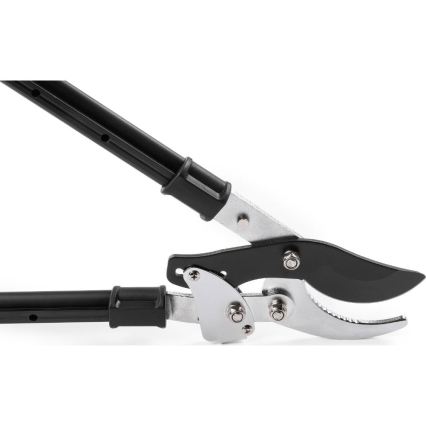 Fieldmann - teleskopinės svirtinės sodo žirklės