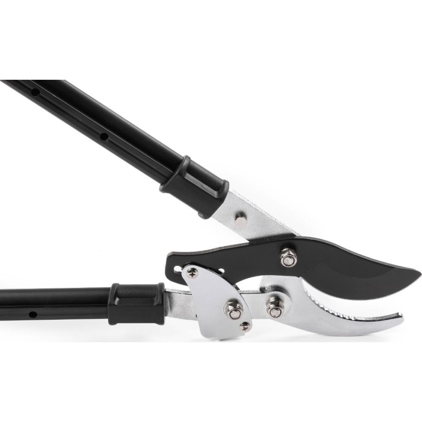 Fieldmann - teleskopinės svirtinės sodo žirklės