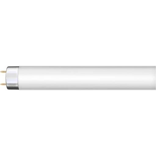 Fluorescencinė lemputė G13/36W/230V 120 cm