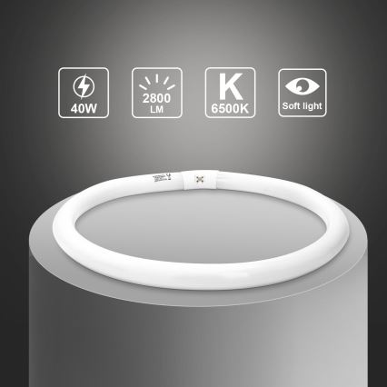 Fluorescencinė T9 lemputė G10q/40W/230V 6500K - Aigostar