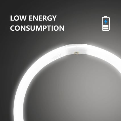 Fluorescencinė T9 lemputė G10q/40W/230V 6500K - Aigostar