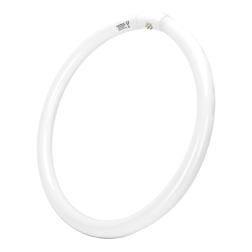 Fluorescencinė trubė T9 G24q-1/40W/230V 6500K - Aigostar
