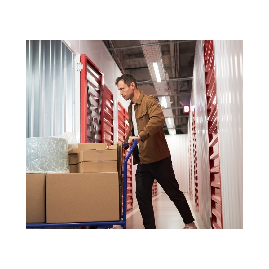 Fluorescencinis šviestuvas T8 DELFIA 2xG13/18W/230V 124 cm baltas