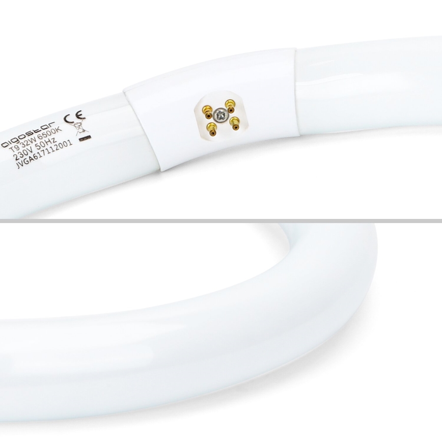 Fluorescencinis vamzdelis T9 G10q/32W/230V 6500K - Aigostar