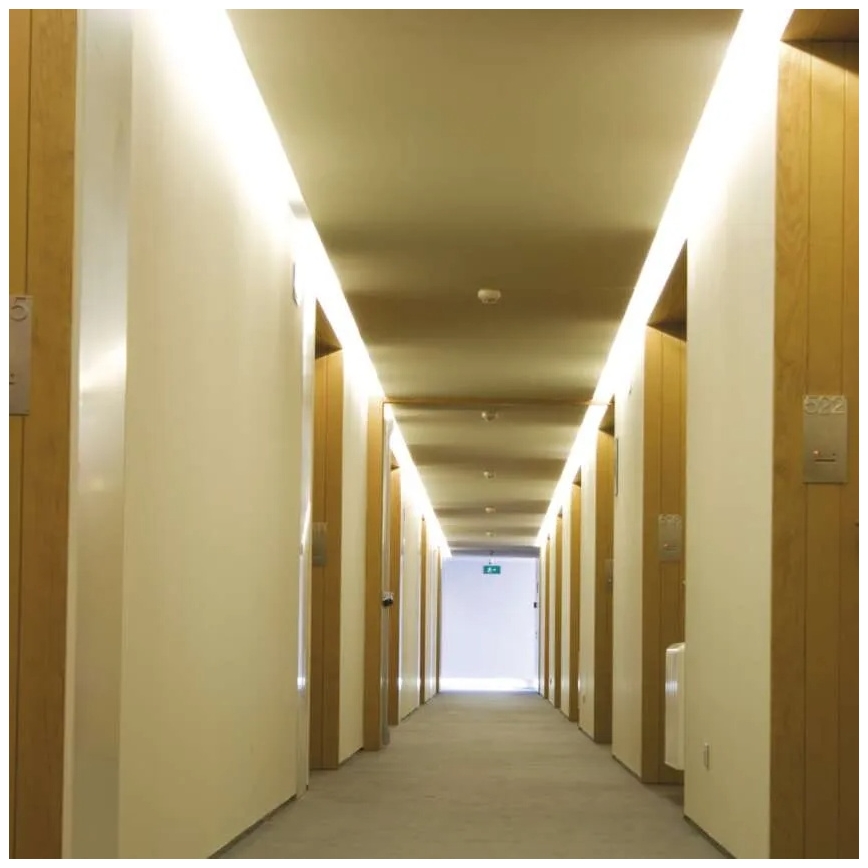 Gaisro detektorius 1x9V