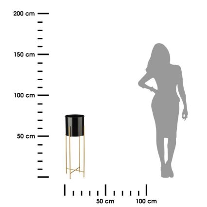 Gėlių stovas 75x17 cm juodas/auksinis