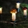 Girlianda TOADSTOOL 12xE10 10,7m šiltai balta, Pagaminta Čekijoje