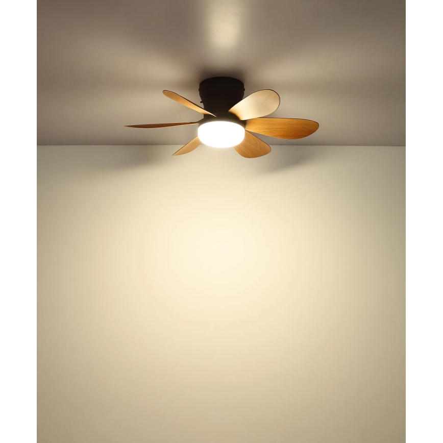 Globo - LED tamsinamas lubų ventiliatorius LED/5W/230V 2700-6500K rudas + nuotolinis valdymas