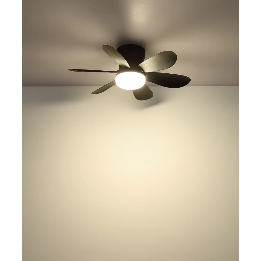 Globo - Dimeriuojamas LED lubinis ventiliatorius LED/5W/230V 2700-6500K juodas + nuotolinis valdymas