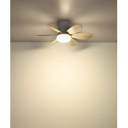 Globo - reguliuojamo ryškumo LED lubų ventiliatorius LED/5W/230V 2700-6500K smėlinis + nuotolinis pultas