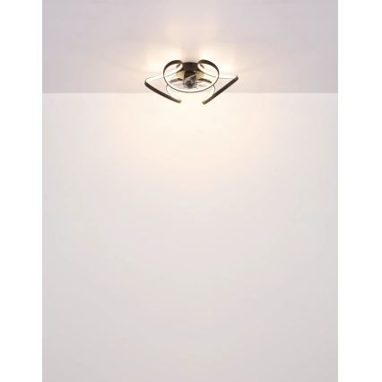 Globo - LED reguliuojamas lubų ventiliatorius LED/40W/230V 3000-6000K + nuotolinio valdymo pultas