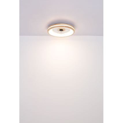 Globo - LED Pritemdomas lubinis šviestuvas su ventiliatoriumi LED/30W/230V 2700-6500K ruda + nuotolinio valdymo pultas