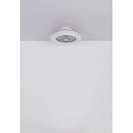 Globo - LED Reguliuojamas lubinis ventiliatorius LED/40W/230V 3000-6500K + nuotolinio valdymo pultas