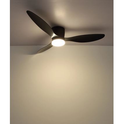 Globo - LED reguliuojamas lubų ventiliatorius LED/20W/230V 3000-6500K + nuotolinio valdymo pultas