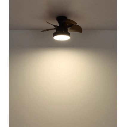 Globo - LED dimeriuojamas stropinis ventiliatorius LED/22W/230V 3000/4500/6000K rudas + nuotolinis valdymas