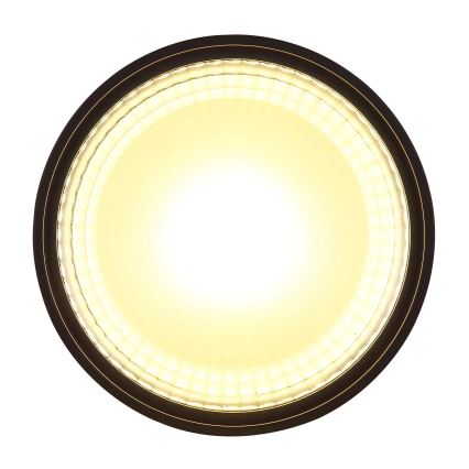 Globo - LED lubinis šviestuvas LED/12W/230V 3000K