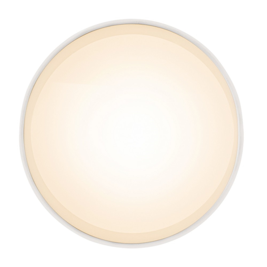 Globo - LED lubinis šviestuvas LED/8W/230V