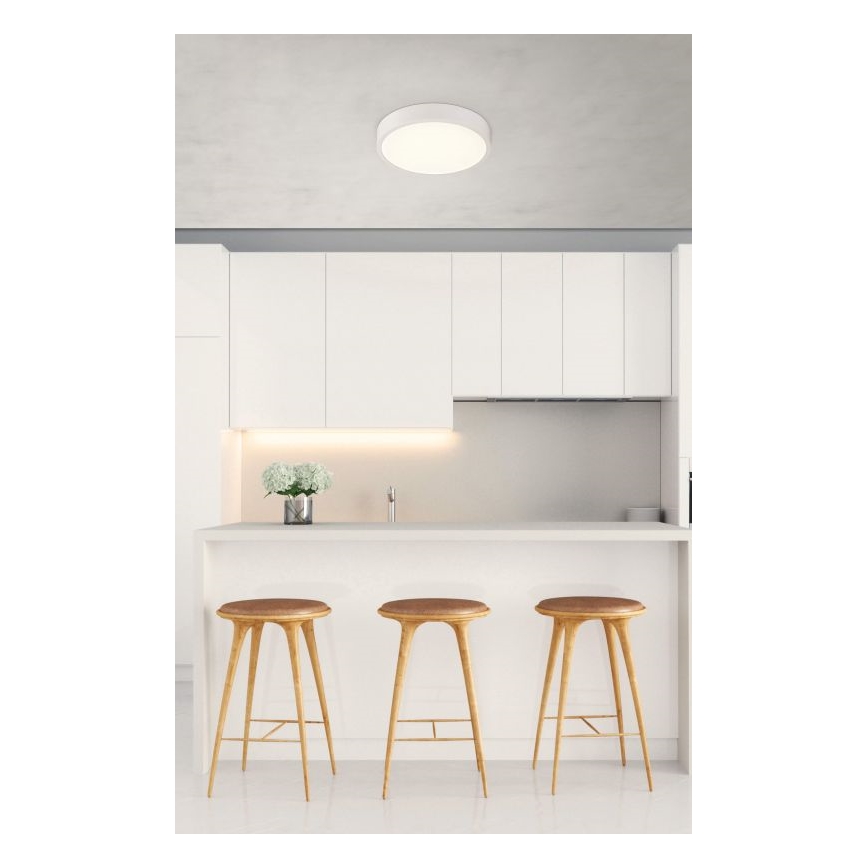 Globo  - LED Reguliuojamas vonios šviestuvas LED/22W/230V