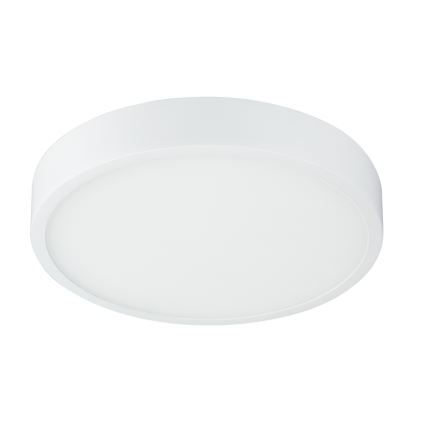 Globo  - LED Reguliuojamas vonios šviestuvas LED/22W/230V