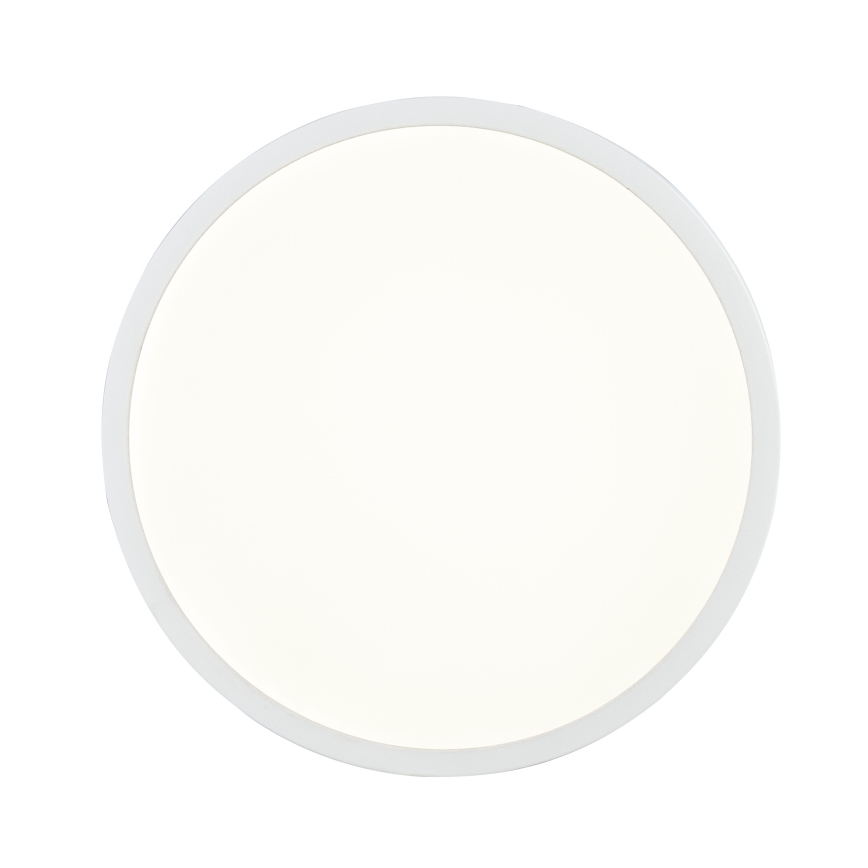 Globo  - LED Reguliuojamas vonios šviestuvas LED/22W/230V