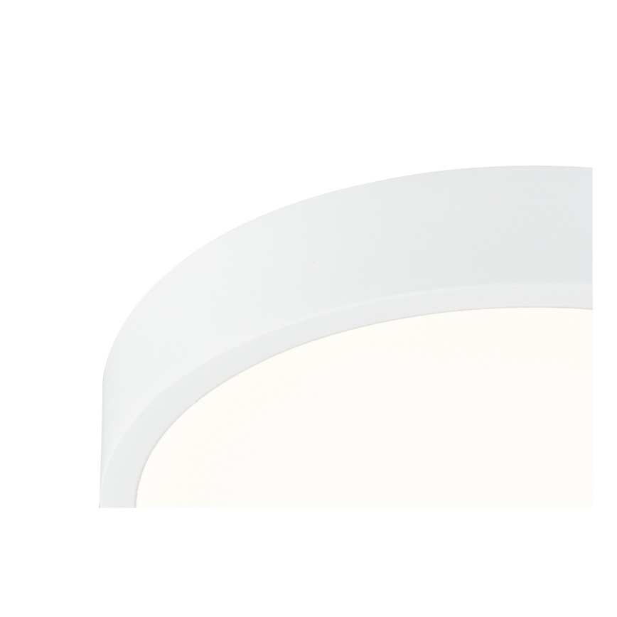 Globo  - LED Reguliuojamas vonios šviestuvas LED/22W/230V