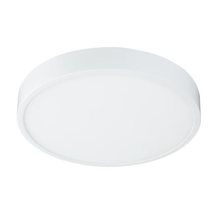 Globo - LED Reguliuojamas vonios šviestuvas LED/28W/230V