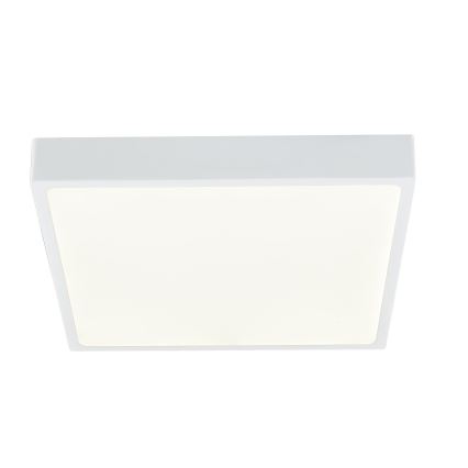 Globo - LED Pritemdomas lubinis šviestuvas LED/28W/230V