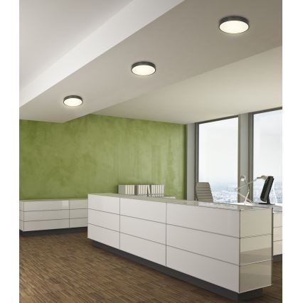 Globo - LED Pritemdomas lubinis šviestuvas LED/28W/230V