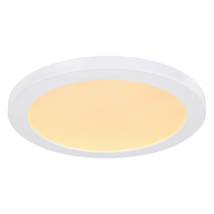 Globo - LED lubinis šviestuvas LED/24W/230V 3000/4000/6500K balta
