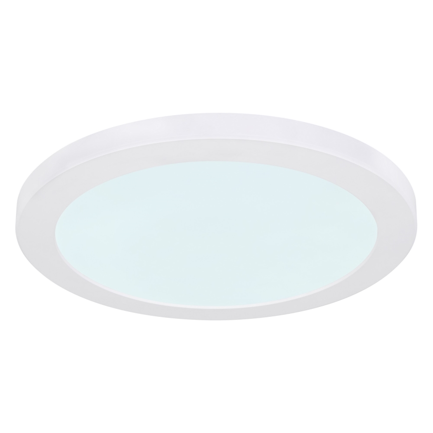 Globo - LED lubinis šviestuvas LED/24W/230V 3000/4000/6500K balta