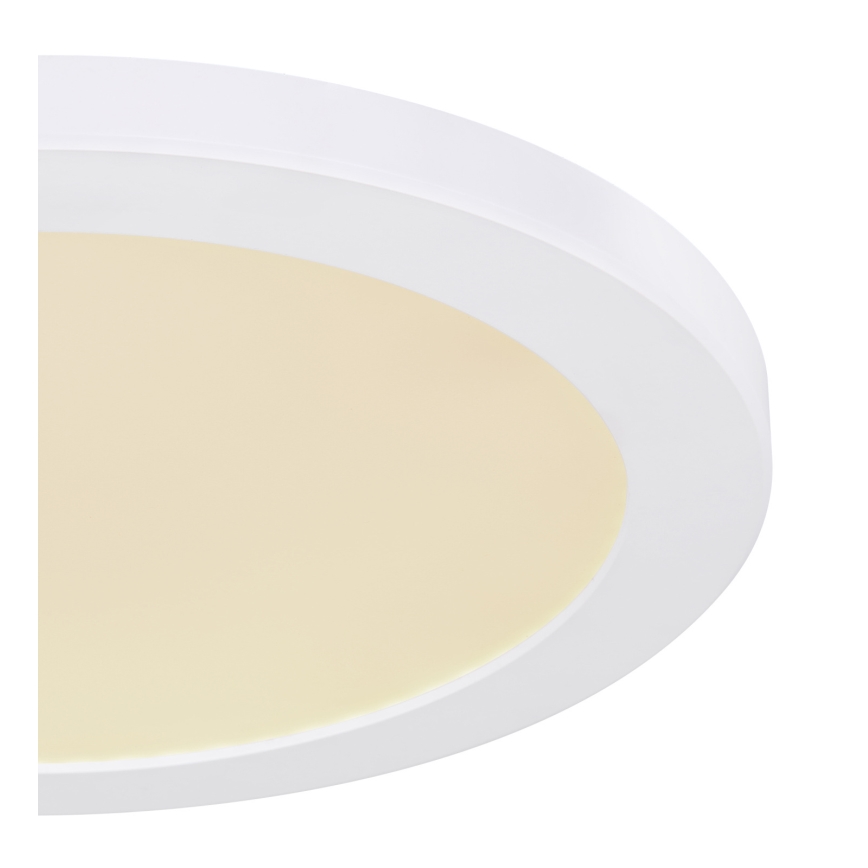 Globo - LED lubinis šviestuvas LED/24W/230V 3000/4000/6500K balta