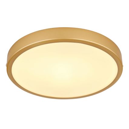 Globo - LED lubinis šviestuvas LED/15W/230V diametras 25 cm