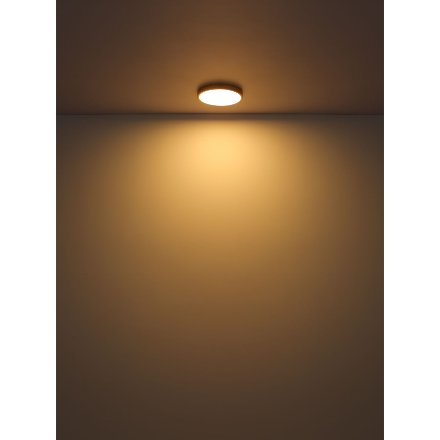 Globo - LED lubinis šviestuvas LED/22W/230V diametras 35 cm