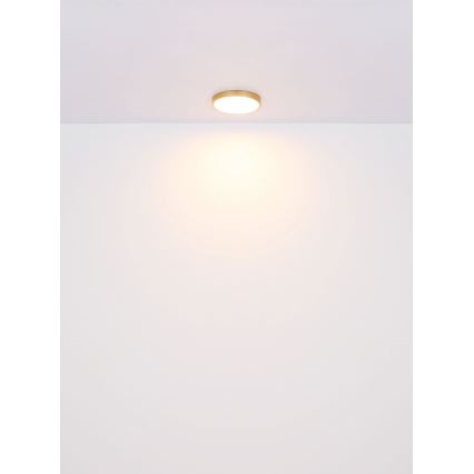 Globo - LED lubinis šviestuvas LED/22W/230V diametras 35 cm