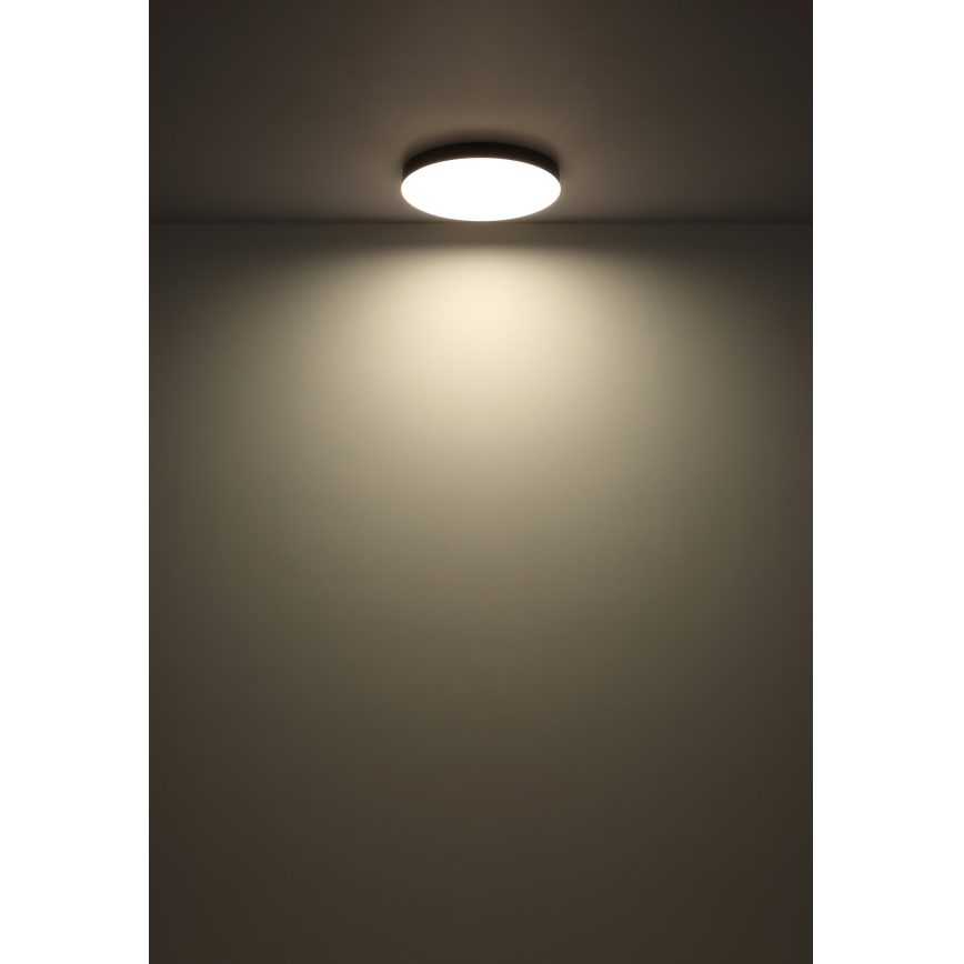 Globo - LED lubinis šviestuvas LED/24W/230V 3000K/4000K/6500K diametras 30 cm juoda