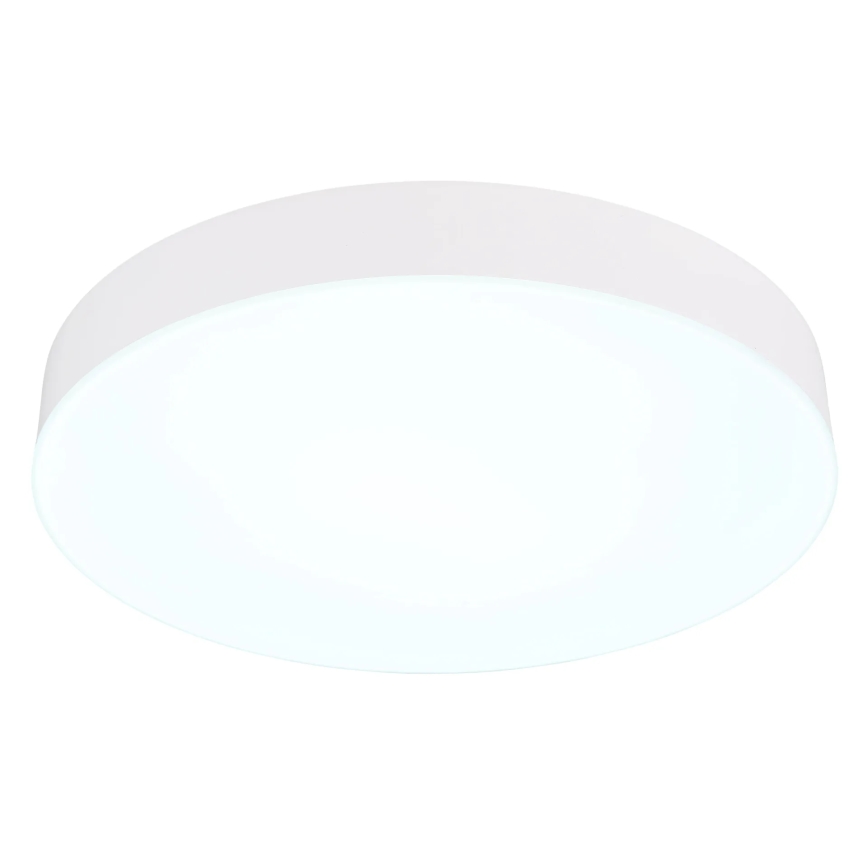 Globo - LED lubinis šviestuvas LED/24W/230V 3000K/4000K/6500K diametras 30 cm balta