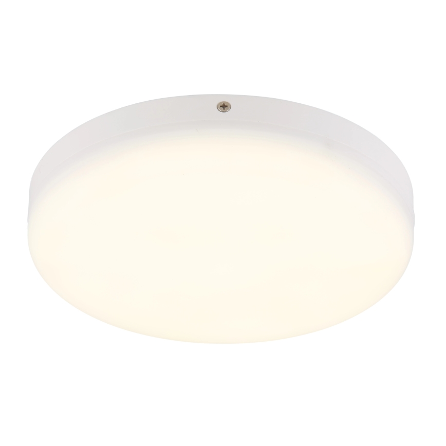 Globo - LED lubinis šviestuvas LED/12W/230V 4000K diametras 22 cm balta