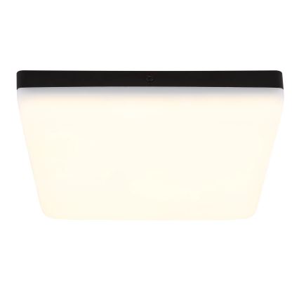 Globo - LED lubinis šviestuvas LED/12W/230V 4000K 22x22 cm juoda