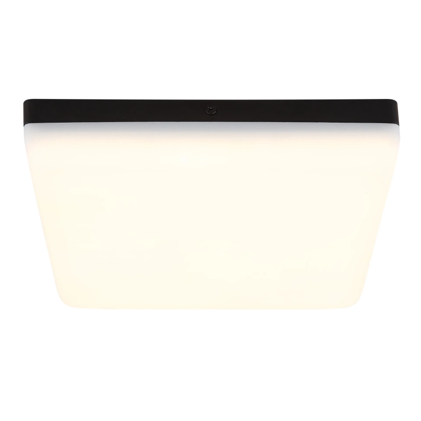Globo - LED lubinis šviestuvas LED/12W/230V 4000K 22x22 cm juoda