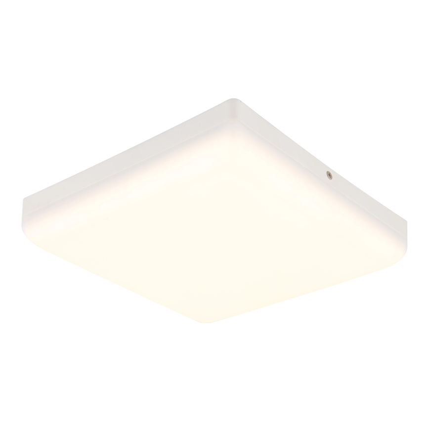 Globo - LED lubinis šviestuvas LED/12W/230V 4000K 22x22 cm balta