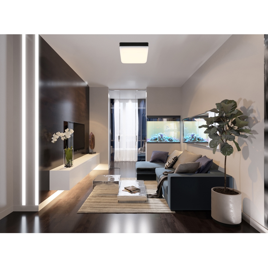 Globo - LED lubinis šviestuvas LED/8W/230V 4000K 12x12 cm juoda