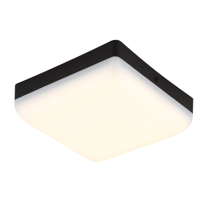 Globo - LED lubinis šviestuvas LED/8W/230V 4000K 12x12 cm juoda