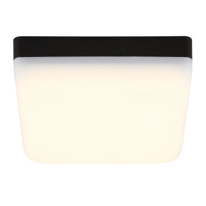 Globo - LED lubinis šviestuvas LED/8W/230V 4000K 12x12 cm juoda