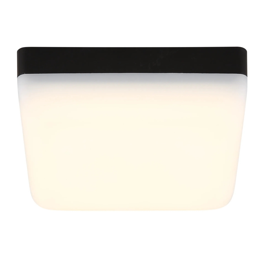 Globo - LED lubinis šviestuvas LED/8W/230V 4000K 12x12 cm juoda