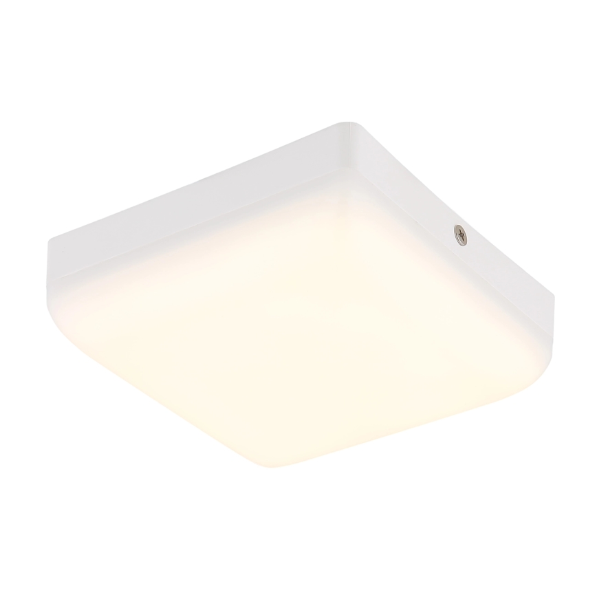 Globo - LED lubinis šviestuvas LED/8W/230V 4000K 12x12 cm balta