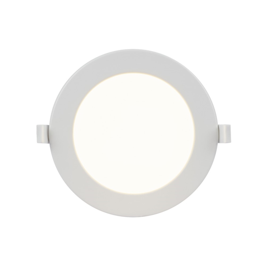 Globo - LED įleidžiamas lubinis vonios šviestuvas 1xLED/12W/230V IP44