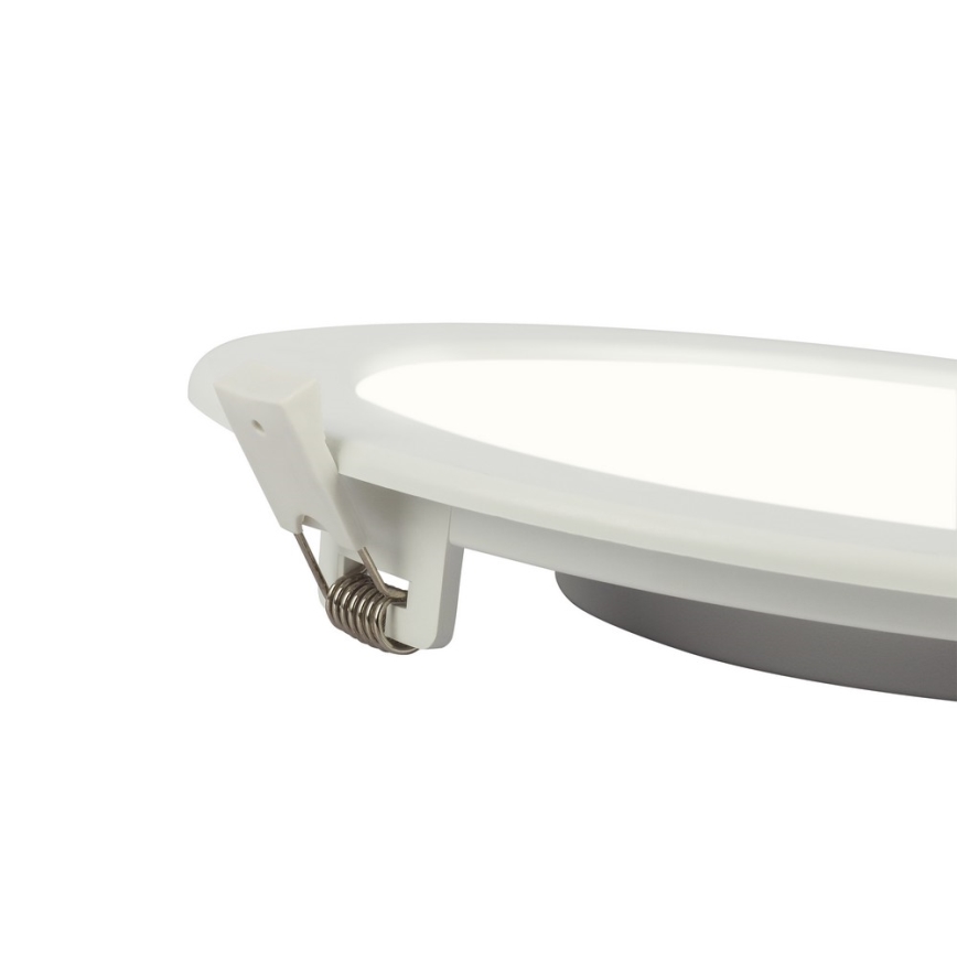 Globo - LED įleidžiamas lubinis vonios šviestuvas 1xLED/12W/230V IP44