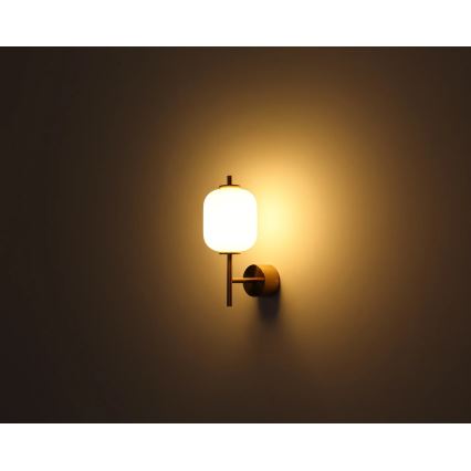 Globo - LED sieninis šviestuvas LED/7W/230V