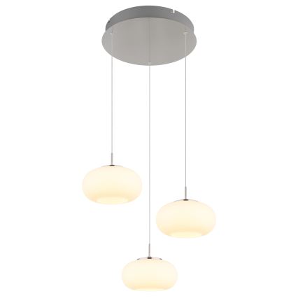 Globo - LED Pakabinamas sietynas 3xLED/6W/230V