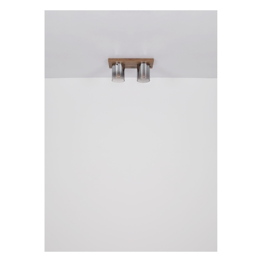 Globo - lubinis šviestuvas 2xE27/40W/230V